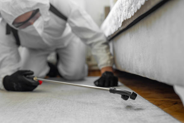 Professional Bed Bug Control technician working in Ridgefield Park, NJ