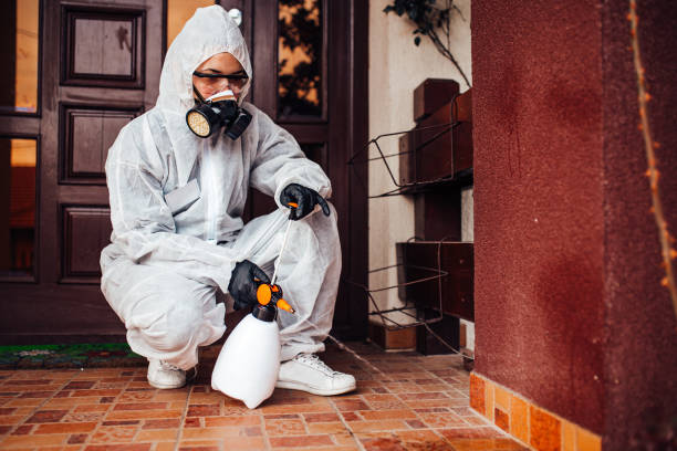 Reliable Bed Bug Control contractor in Ridgefield Park, NJ by Nex Pest Control