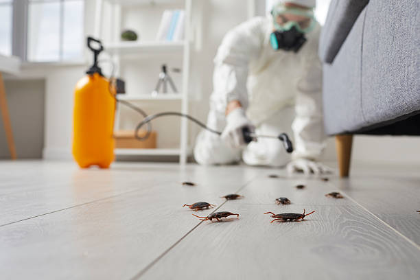 Trusted Rodent Control service in Ridgefield Park, NJ - Nex Pest Control