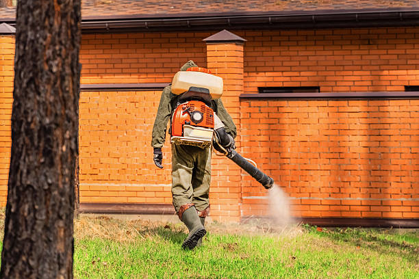 Trusted Termite Control service in Ridgefield Park, NJ - Nex Pest Control